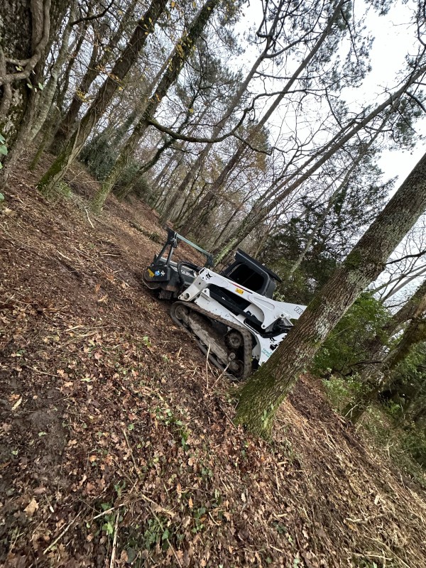 Défrichage de terrain et broyage sur la commune de Lignan de Bordeaux 