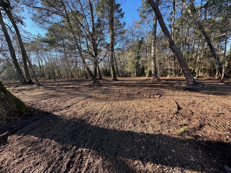 Entretien forestier sur la commune de Saint aubin de médoc et broyage forestier . 