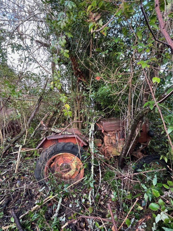 Broyage forestier sur la commune de Latresne en Gironde proche de Bordeaux 