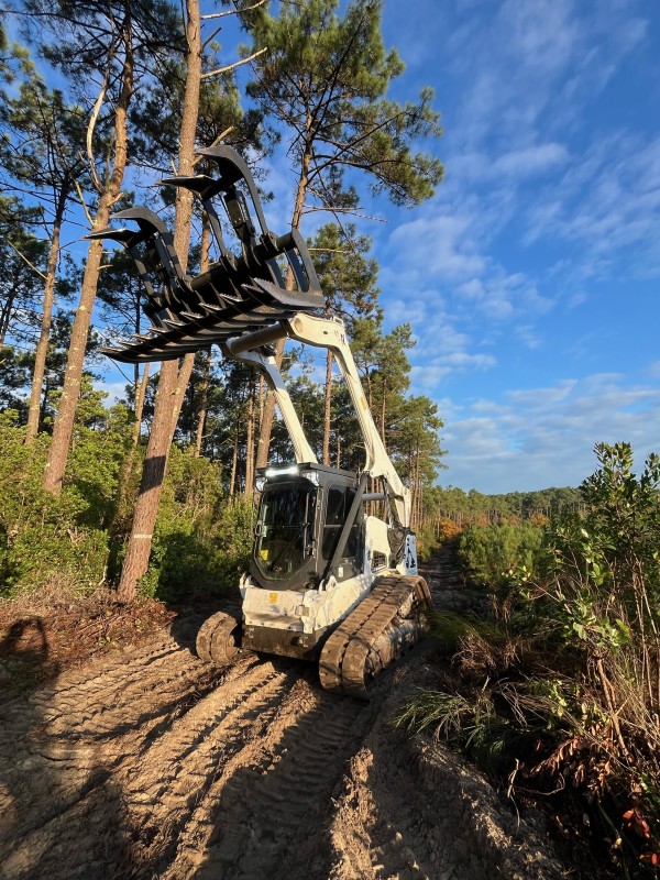 Travaux forestier sur la commune du Cap ferret proche de Bordeaux 