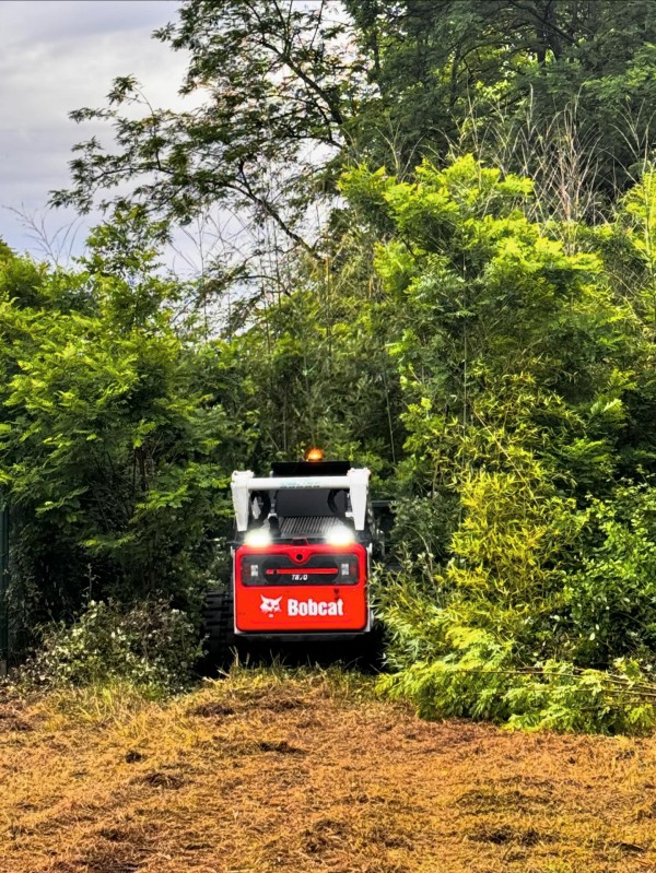 Défrichement de terrain et broyage forestier sur Blanquefort proche de Bordeaux .