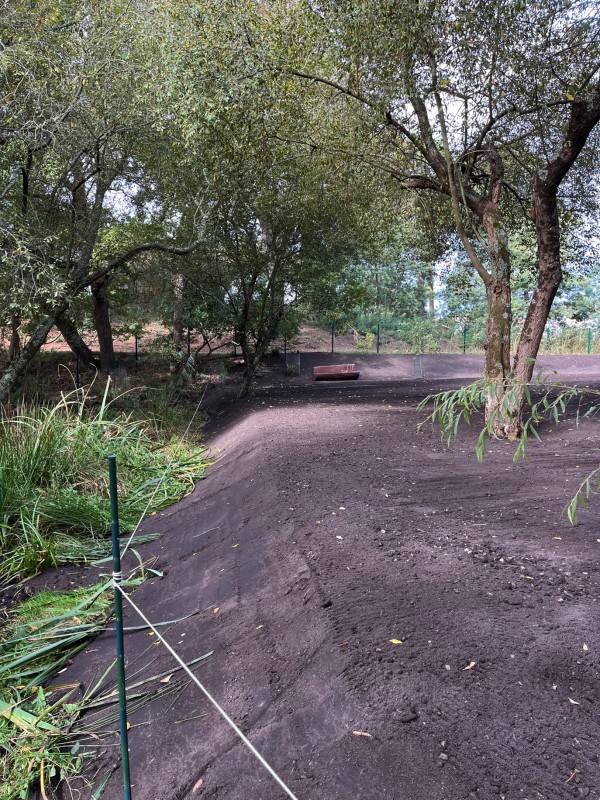 Aménagement d’un terrain en zone naturelle protégée à Maubuisson en Gironde