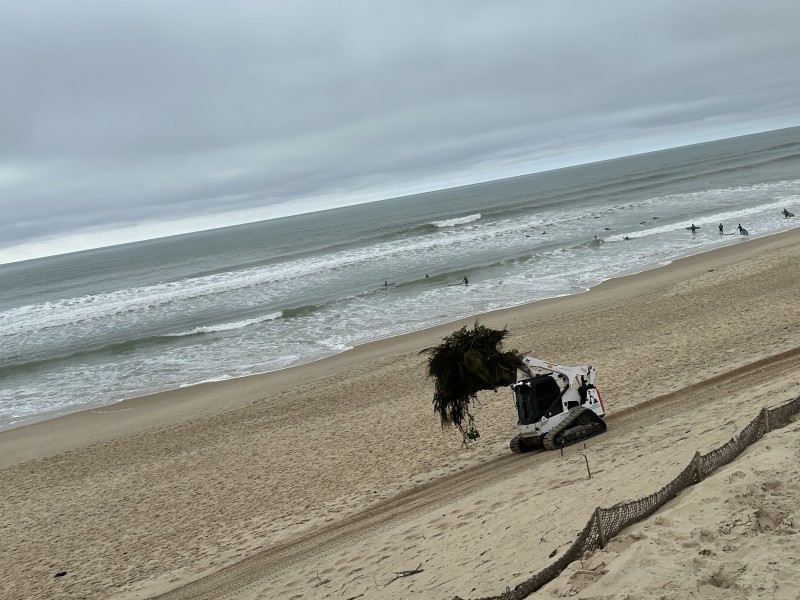 Entretien forestier en Gironde dessouchage et broyage forestier