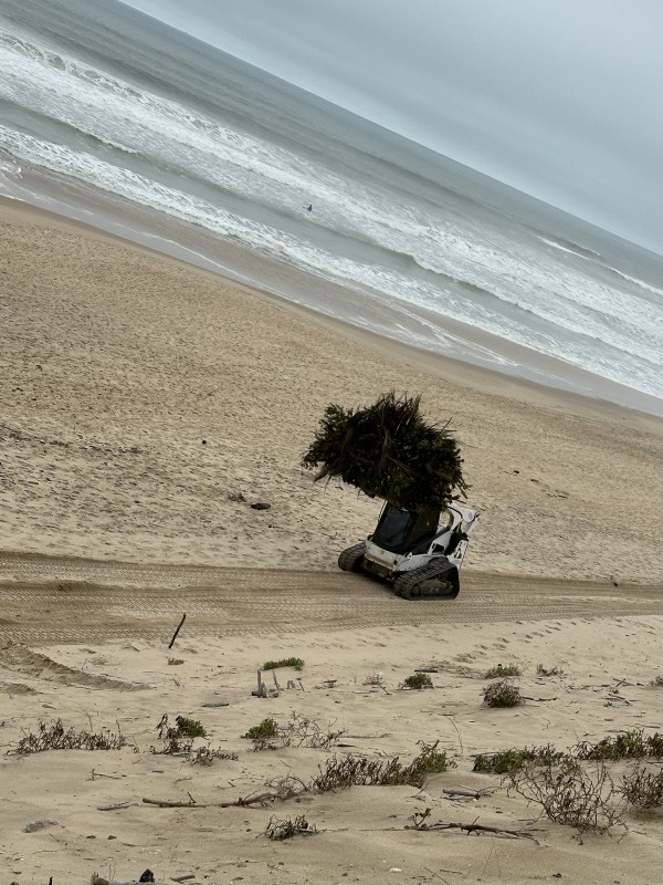 Entretien forestier en Gironde dessouchage et broyage forestier