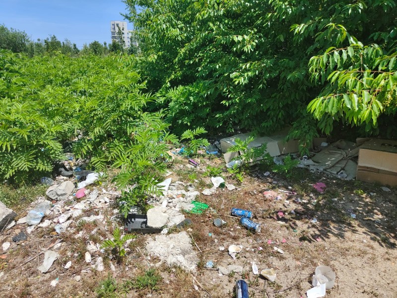 Curage et nettoyage de dépôt sauvage sur la commune de EYSINES en Gironde