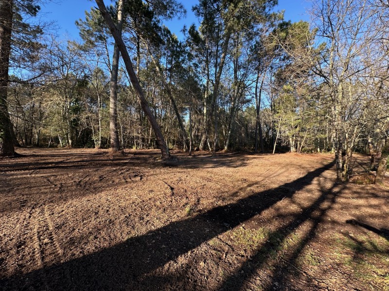 Entretien forestier sur la commune de Saint aubin de médoc et broyage forestier . 