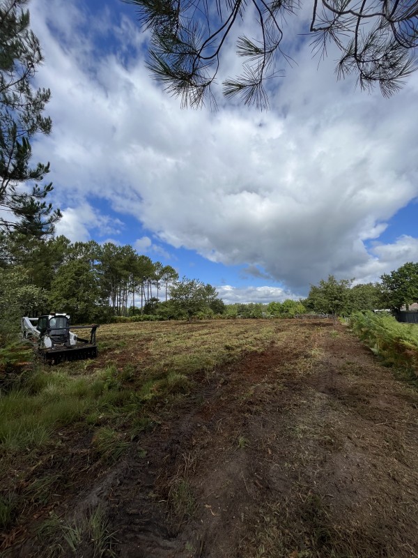 Broyage forestier à Saint Aubin de Médoc