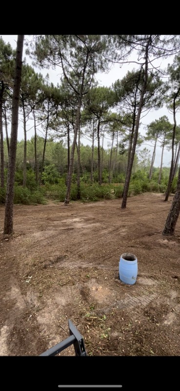 Broyage forestier d'un terrain pour futur parcours de Golf à Lège Cap Ferret en Gironde