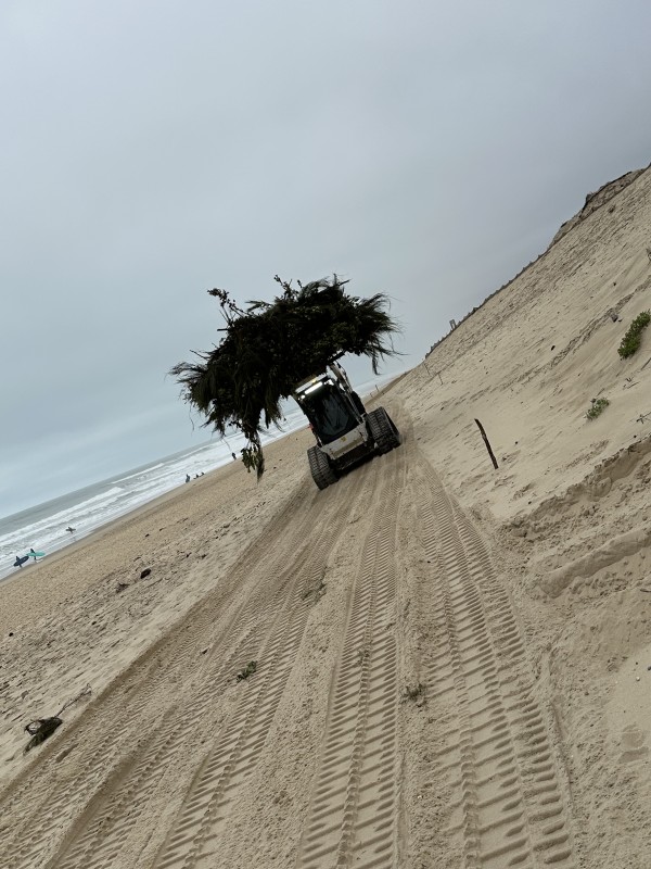 Entreprise de Broyage forestier proche de bordeaux  et en Gironde .