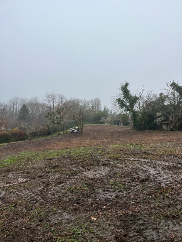 Broyage forestier sur la commune de Latresne en Gironde proche de Bordeaux 