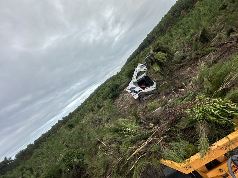 Travaux forestier sur la commune du Cap ferret proche de Bordeaux 