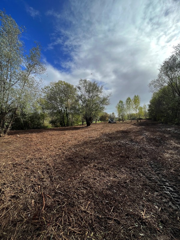 Broyage Forestier d'un terrain à Bordeaux en Gironde
