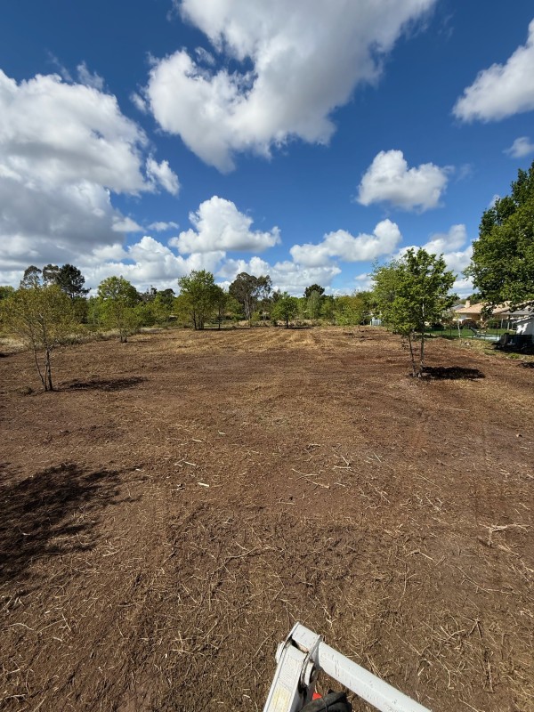 Boyage Forestier obligation légal de debrouissaillement sur saint Médard en Jalles 