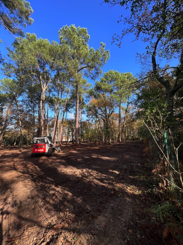 Broyage Forestier sur la commune de Cénac en Gironde proche de bordeaux