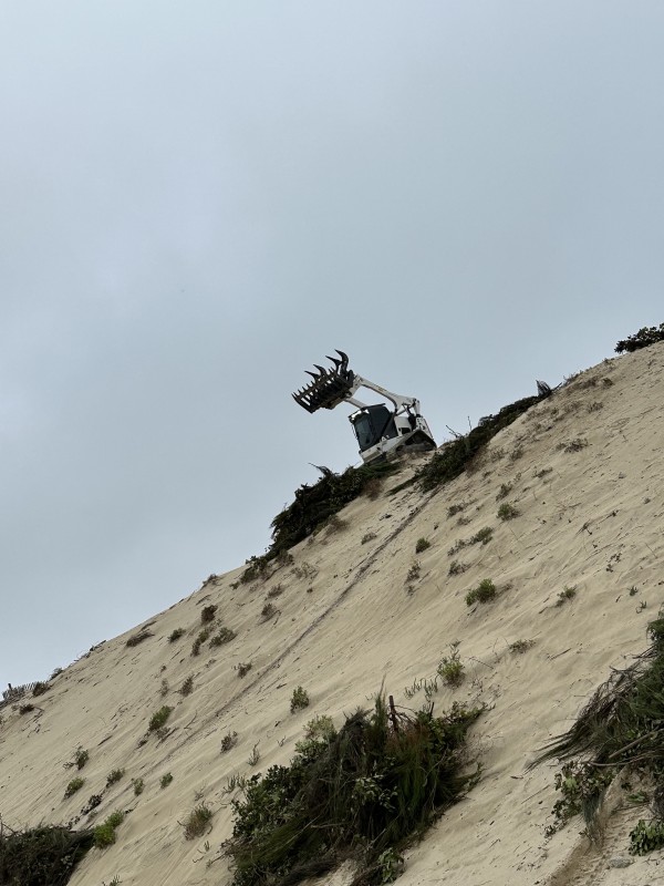 Entretien forestier en Gironde dessouchage et broyage forestier