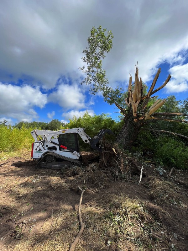 Démolition d’une maison avec des dépendances à Margaux Cantenac dans le Médoc