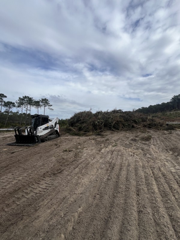 Travaux forestier en Gironde, renforcement digue et plage 