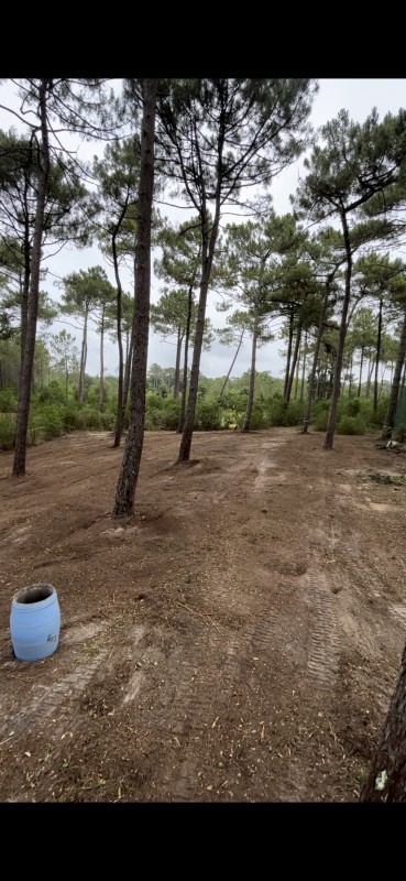 Broyage forestier d'un terrain pour futur parcours de Golf à Lège Cap Ferret en Gironde