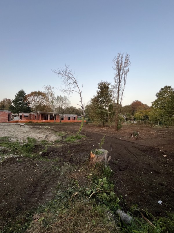 Entreprise de broyage forestier sur la Gironde 