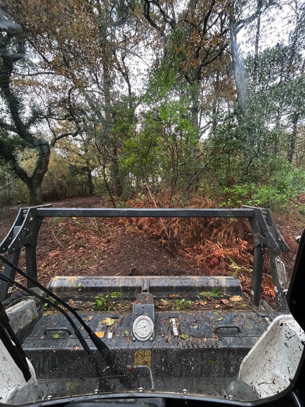 Broyage Forestier sur la commune de Cénac en Gironde proche de bordeaux