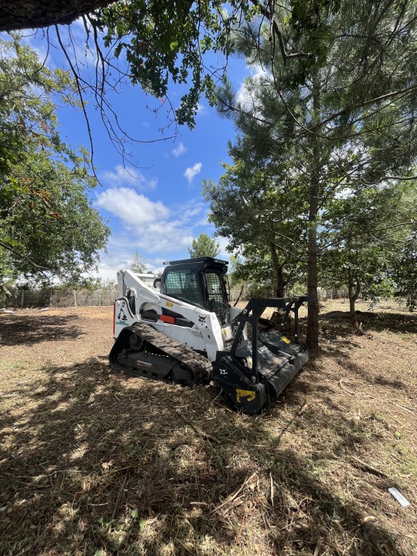 Location chargeuse compacte à chenille pour broyage forestier à La Teste-de-buch en Gironde