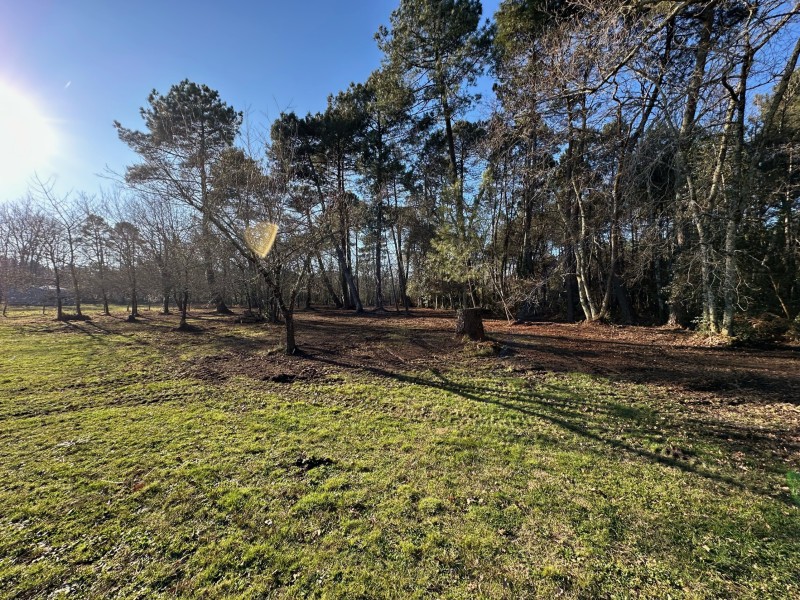Entretien forestier sur la commune de Saint aubin de médoc et broyage forestier . 