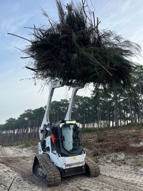 Travaux forestier en Gironde, renforcement digue et plage 