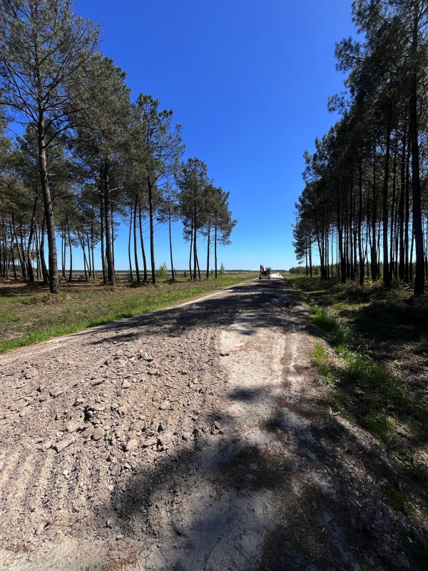 Location de niveleuse compacte  sur Bordeaux et en Gironde .