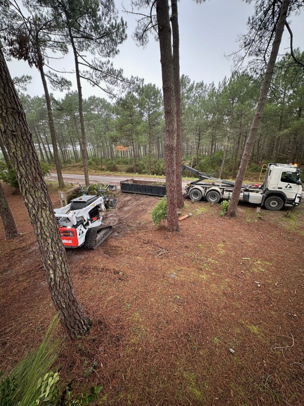 Entretien forestier en Gironde dessouchage et broyage forestier