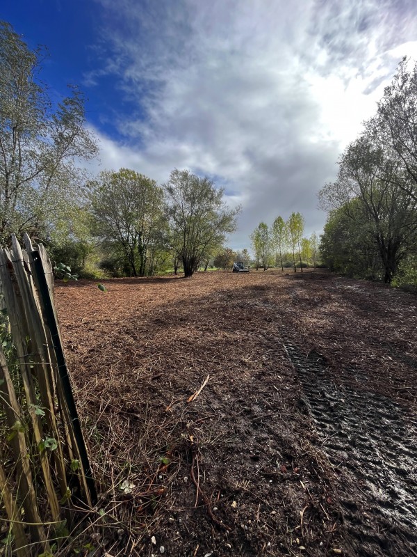 Broyage Forestier d'un terrain à Bordeaux en Gironde
