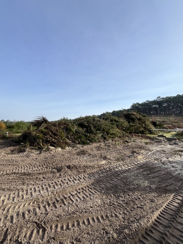 Travaux forestier en Gironde, renforcement digue et plage 