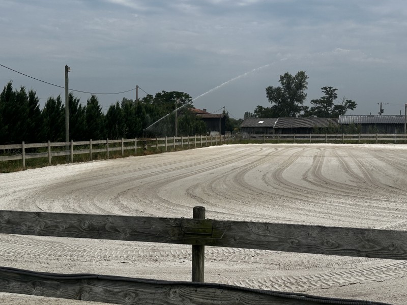 Carrière équestre sur Bordeaux et en
Gironde .