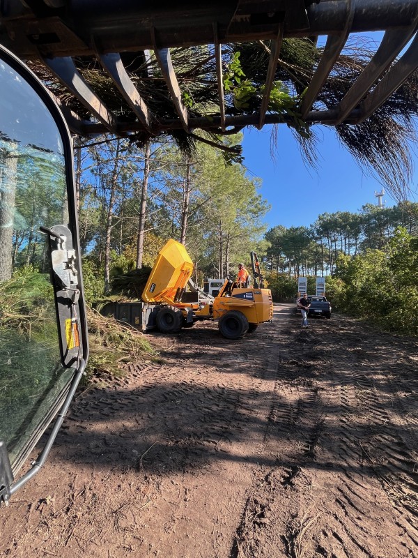 Travaux forestier sur la commune du Cap ferret proche de Bordeaux 