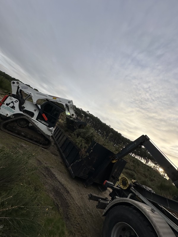 Travaux forestier en Gironde, renforcement digue et plage 