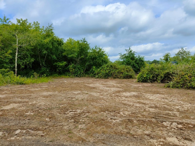 Curage et nettoyage de dépôt sauvage sur la commune de EYSINES en Gironde