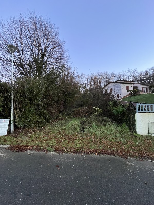 Broyage forestier sur la commune de Latresne en Gironde proche de Bordeaux 