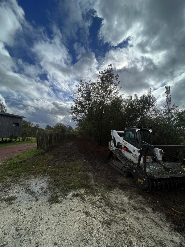 Broyage forestier et nettoyage de terrain à Latresne en Gironde
