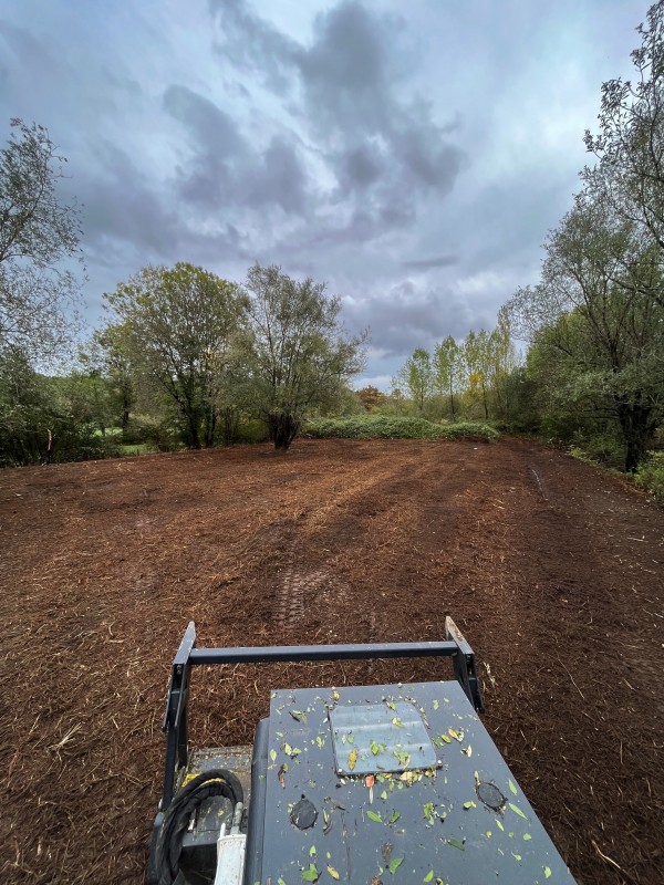Broyage forestier et nettoyage de terrain à Latresne en Gironde