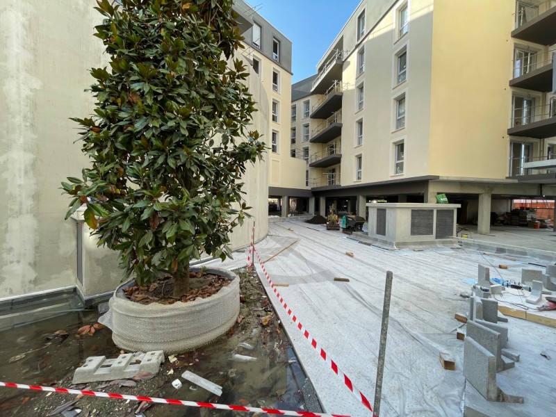 Apport de terre végétale et nivellement sur un toit terrasse à Cenon proche de Bordeaux