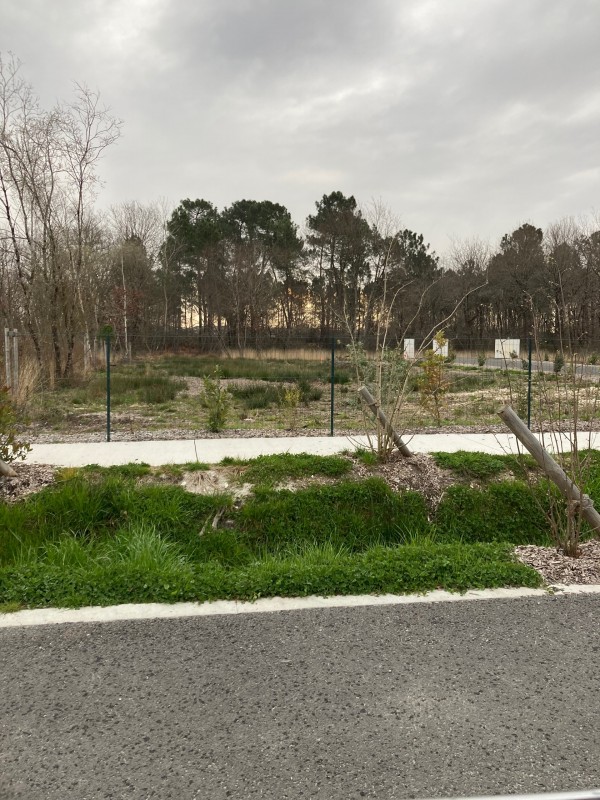 Terrassement Salaunes: Création d’un chemin d’accès 