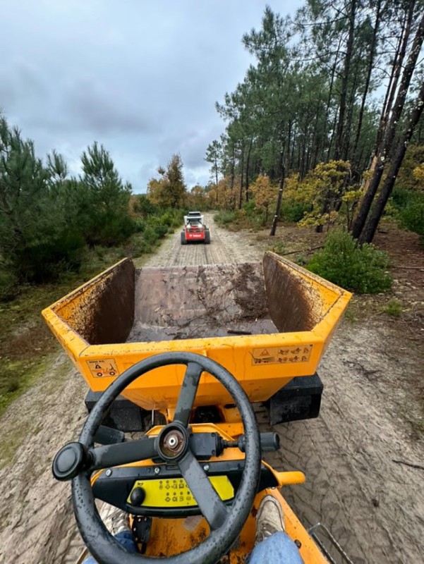 Travaux forestier sur la commune du Cap ferret proche de Bordeaux 
