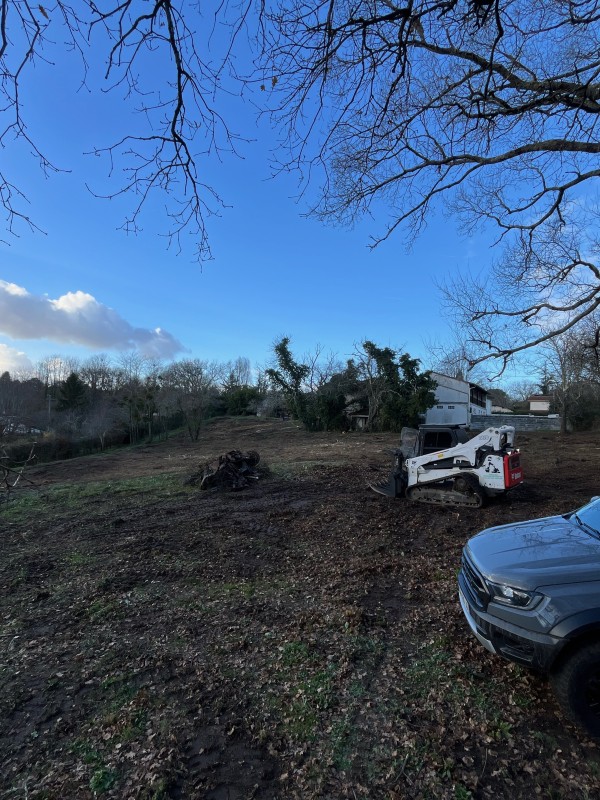 Broyage forestier sur la commune de Latresne en Gironde proche de Bordeaux 